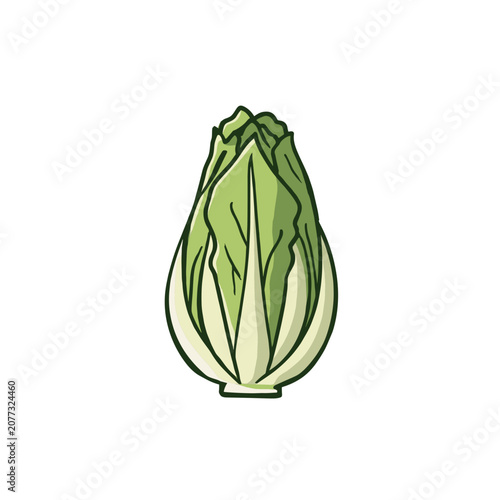 Flat illustration of romaine lettuce