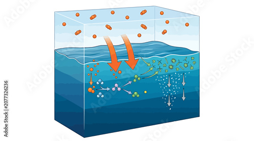 Chemical reaction of carbon dioxide in seawater showing acidification