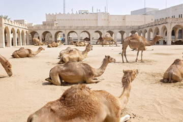Happy european family, visiting Doha during the hot summer months