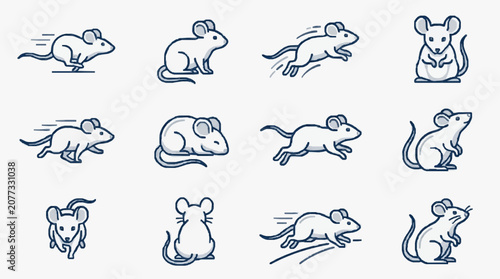 Professional Set of 12 Minimalist Monochrome Mouse Icons in Various Dynamic Poses for Design Projects