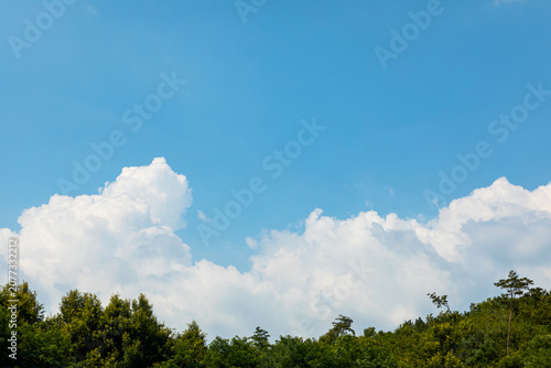 Принти на полотні Beautiful blue sky with white cumulus clouds over green forest mountains