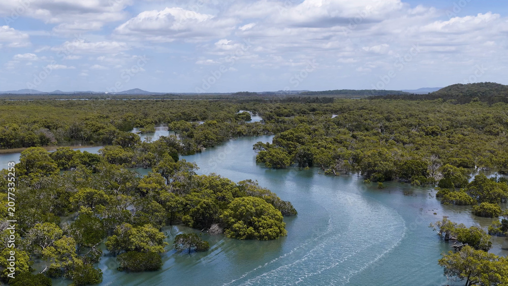 Obraz premium Aerial View of Winding Tidal River Through Lush Mangrove Forest