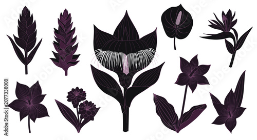 Purple flowers and leaves set.