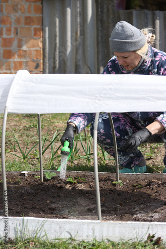 Watering a vegetable garden on a raised bed, water flowing from a hose in a woman's hand, arches and spunbond over the bed