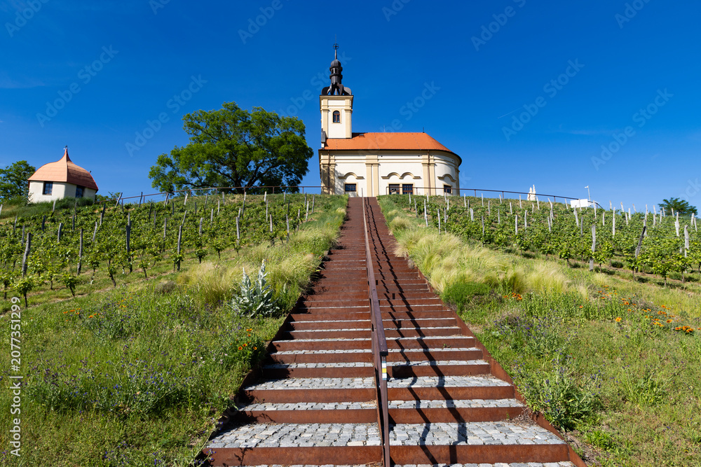 Fototapeta premium church in middle of a vineyard in Moravia
