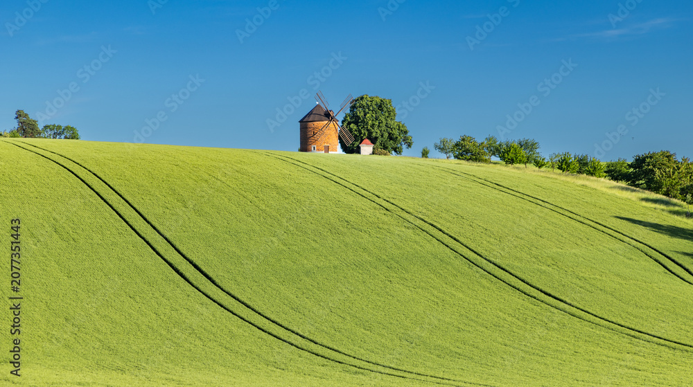 Fototapeta premium rolling green fields in early summer in Czech Moravia