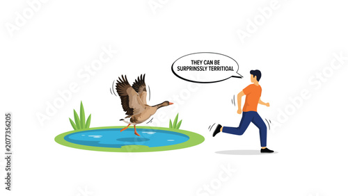 Canada goose chasing man, humorous flat illustration of a territorial bird pursuing a running pedestrian in a public park, urban wildlife encounter, colorful vector design.