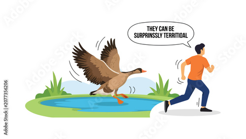 Canada goose chasing man, humorous flat illustration of a territorial bird pursuing a running pedestrian in a public park, urban wildlife encounter, colorful vector design.