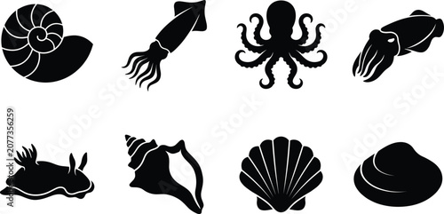 Photos Black silhouettes of marine mollusks and cephalopods vector icons isolated on a