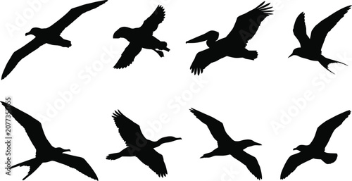 Konstfotografi Sea birds and marine wildlife vector silhouette collection featuring flying gull