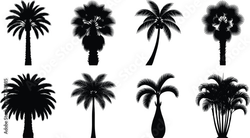 Foto You are a professional stock image contributor and SEO expert.