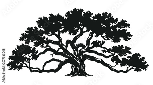 Wide branching live oak tree silhouette classic old majestic tree vector graphic