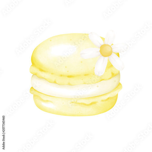 Yellow Macaron Cookie Illustration