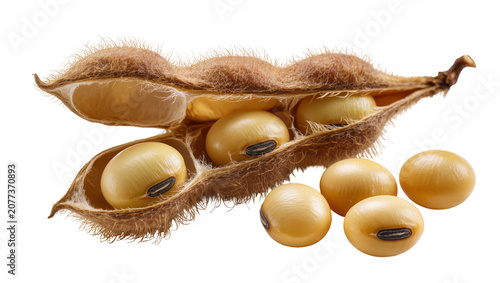 Schilderij op canvas Soybean pod with seeds and loose soybeans