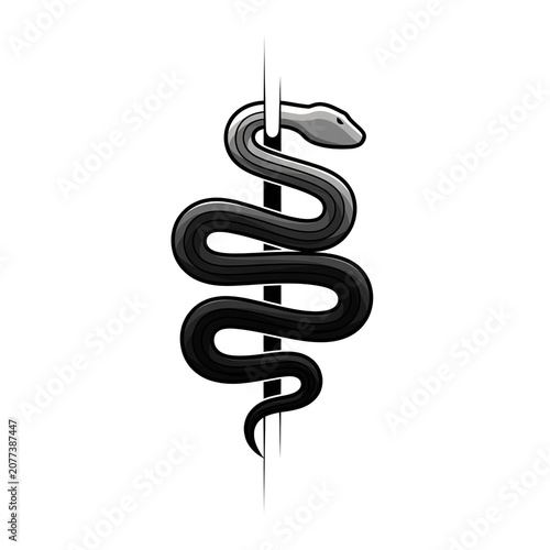 Grey Gradient Serpent Coiled Around Medical Staff Rod of Asclepius, Realistic Snake Symbol for Healthcare Pharmacy Logo, Medicine Vector Illustration