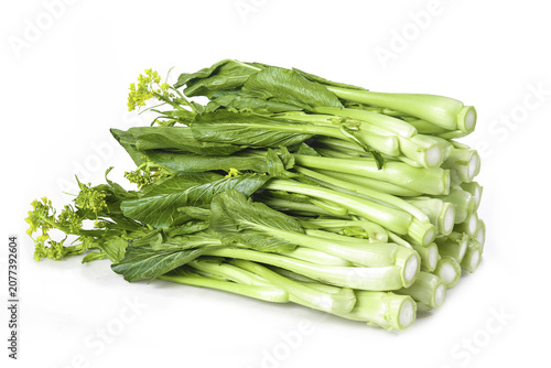 Foto Fresh Chinese Mustard Greens Bundle Gai Choy Vegetable from Guangdong Province