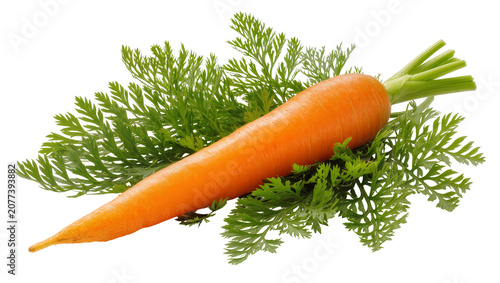 Obraz na płótnie Orange carrot with green leafy tops on white