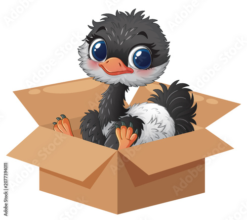 Cute Cartoon Baby Ostrich Sitting Inside an Open Cardboard Box