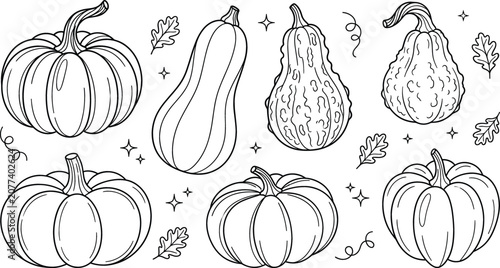 Schilderij op canvas Pumpkins and gourds line icon set featuring autumn squash butternut thanksgiving