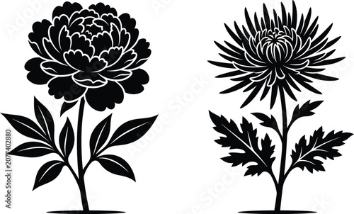Black silhouette peony and chrysanthemum flowers vector icons isolated on white background