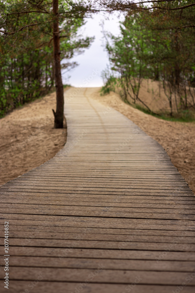 Fototapeta premium Wooden footbridge path leading through thick forest foliage