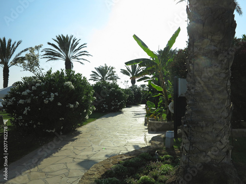 Beautiful landskape, palm trees and sun loungers at luxury resort