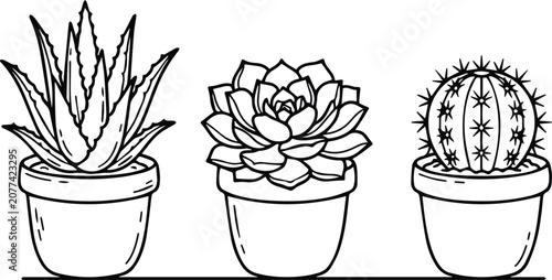 Set of 3 potted succulent and cactus plants vector line art