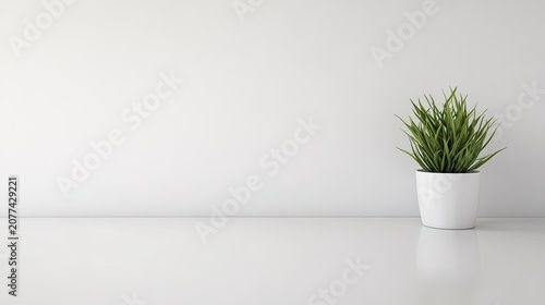 Potted plant minimalist white background simple modern clean interior decor