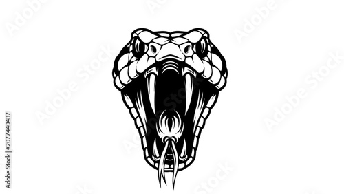 Schilderij op canvas Aggressive Viper Snake Head Illustration