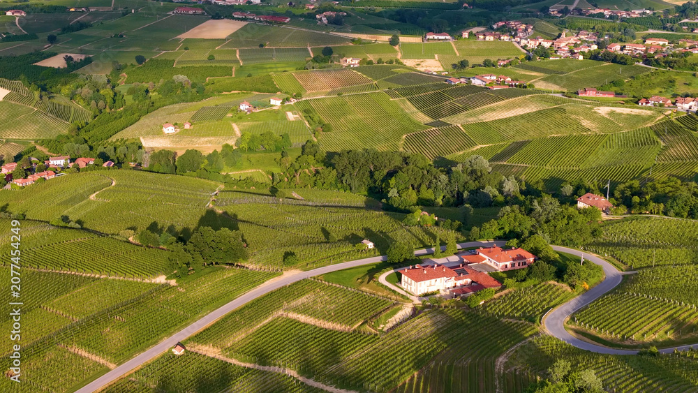 Fototapeta premium Aerial View of Rolling Vineyards and Rural Estate in Piedmont Italy