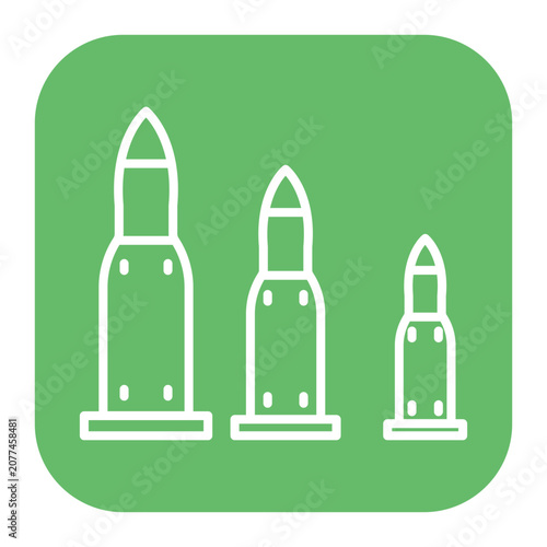 Tableau sur toile Ammunition Icon