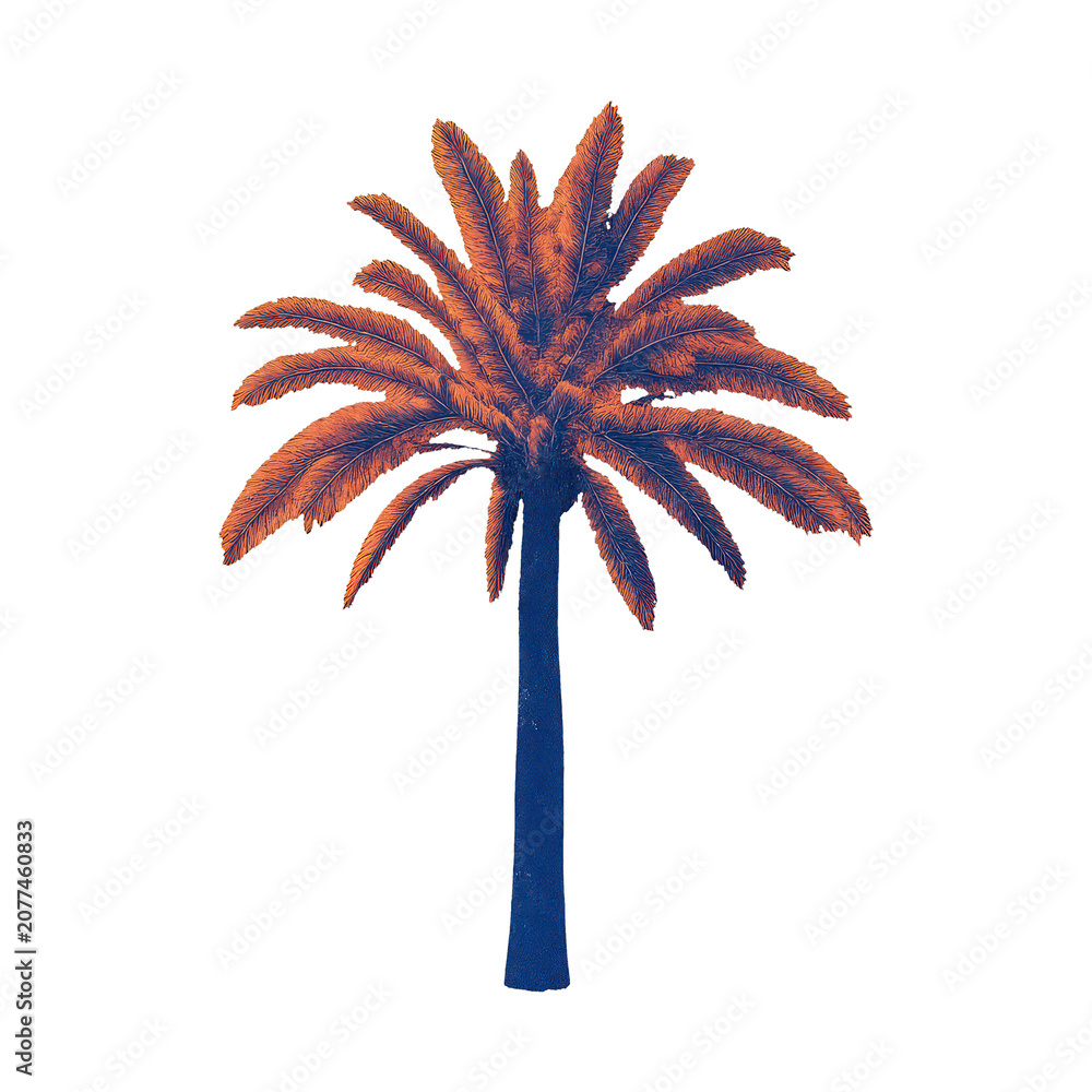 Fototapeta premium PNG Vibrant palm tree illustration.