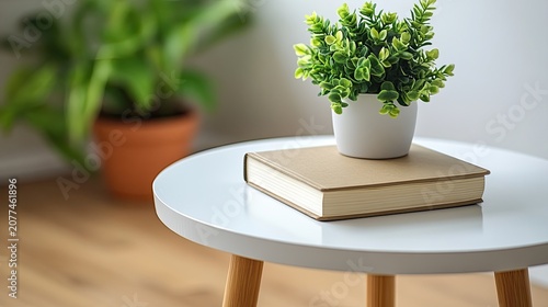 Potted plant on book and white side table home decor and lifestyle image