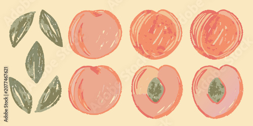 Tableau sur toile Peaches And Leaves Vector Illustration With Textured Orange And Green Tones