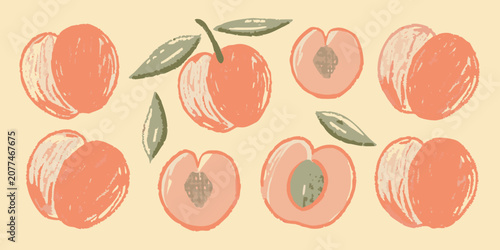 Foto Peaches Vector Illustration Of Peaches With Green Leaves And Sliced Fruit