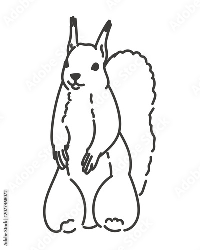 Vector linear illustration of a squirrel sitting on hind legs. Minimalist black and white outline wild rodent sketch isolated on background for animal logo design forest fauna icon print and nature br