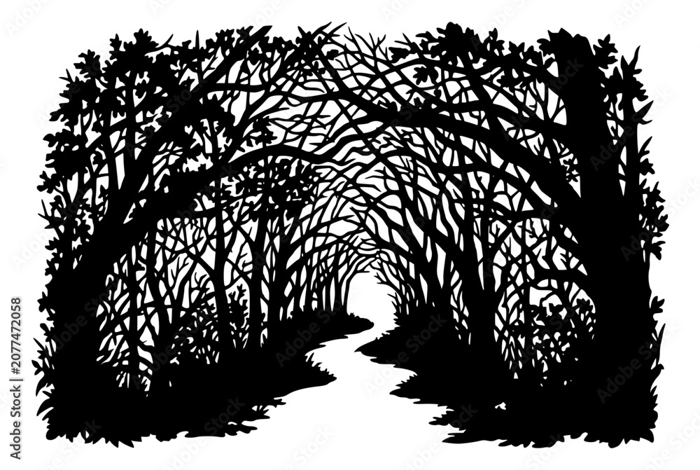 Fototapeta premium Black Silhouette of a Mysterious Forest Path Through Dense Trees