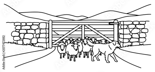 Fotografie Sheepdog herding sheep through gate vector illustration, rural countryside farm