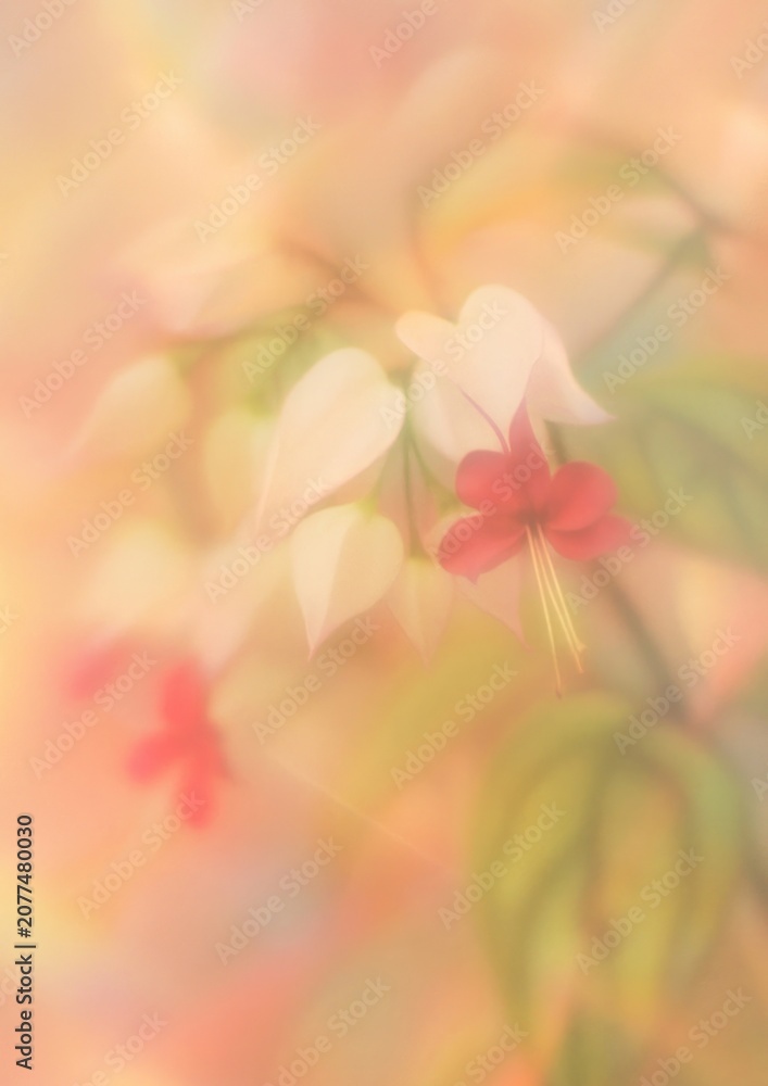 Obraz premium Soft floral dreamy elegance