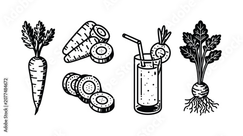 Carrot vector icon set of fresh vegetable garden produce