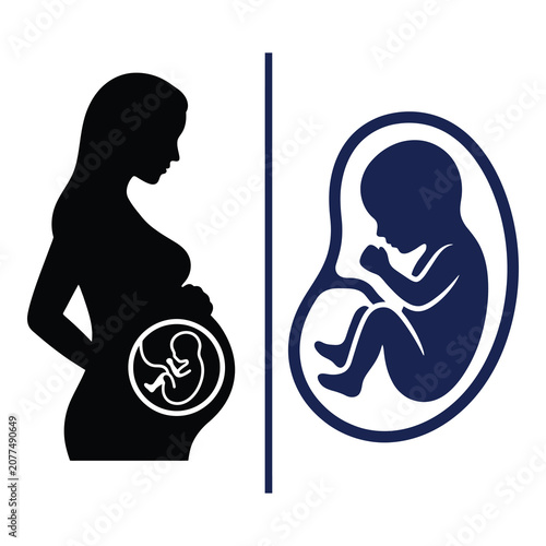 Foto Pregnant woman and fetus in womb silhouette illustration design elements icon