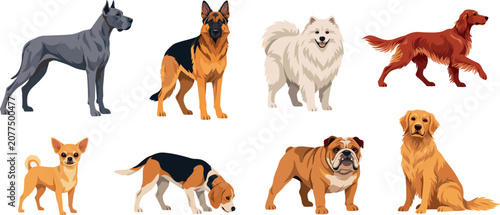 Foto PrintFlat Vector Dog Breeds Character Set Featuring Great Dane German Shepherd S