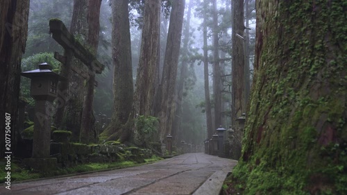 Fog-Shrouded Okunoin at Koyasan, UNESCO World Heritage Site, Wakayama, Japan「霧が立ちこめる高野山・奥之院」和歌山県高野町