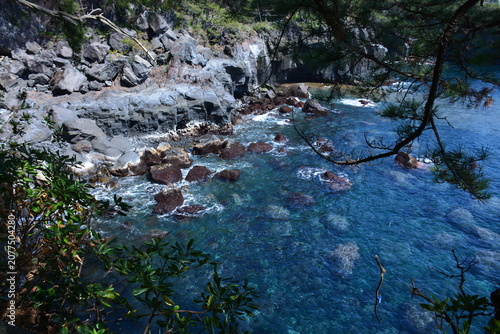 Plakat 静岡県 伊豆市の城ヶ崎海岸