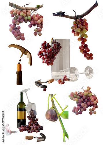 Scattered wine and vineyard elements on transparent background: grape clusters, corkscrews, cork, bottle, overturned glass, fig, vine branch. PNG cutout set.