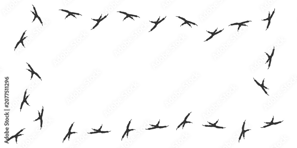 Obraz premium Vector trail print of bird isolated on white background. Rectangular frame of footprint silhouette tracks of macaw parrot. Paw Print. Vector illustration. EPS10