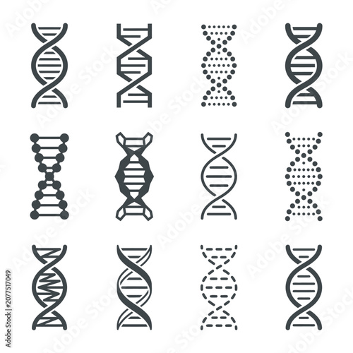 Photos Minimalist DNA Double Helix and Chromosome Structure Illustration in Monochrome