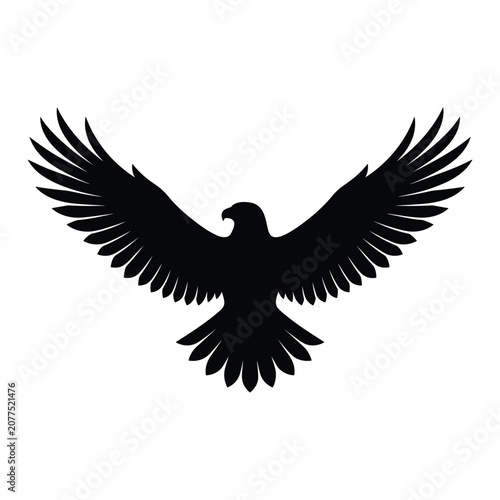 Photos Black silhouette of eagle with wings spread wide