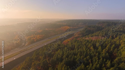 Beautiful autumn forest with a new highway in Poland.