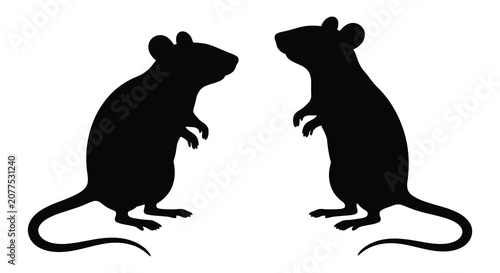Bild auf Leinwand Two Mice Facing Each Other Black Silhouette